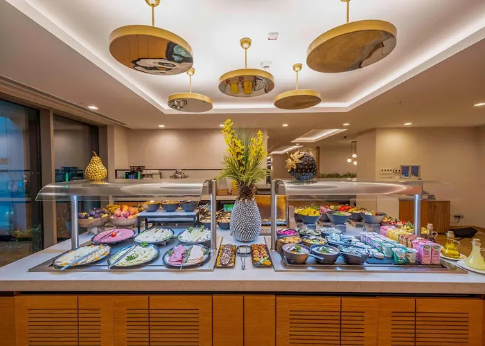 Radisson Residences Vadistanbul Hotel 5*