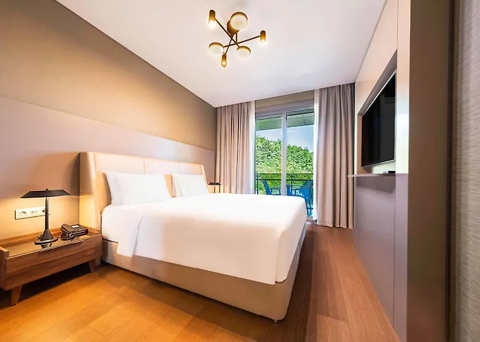 Radisson Residences Vadistanbul 5*